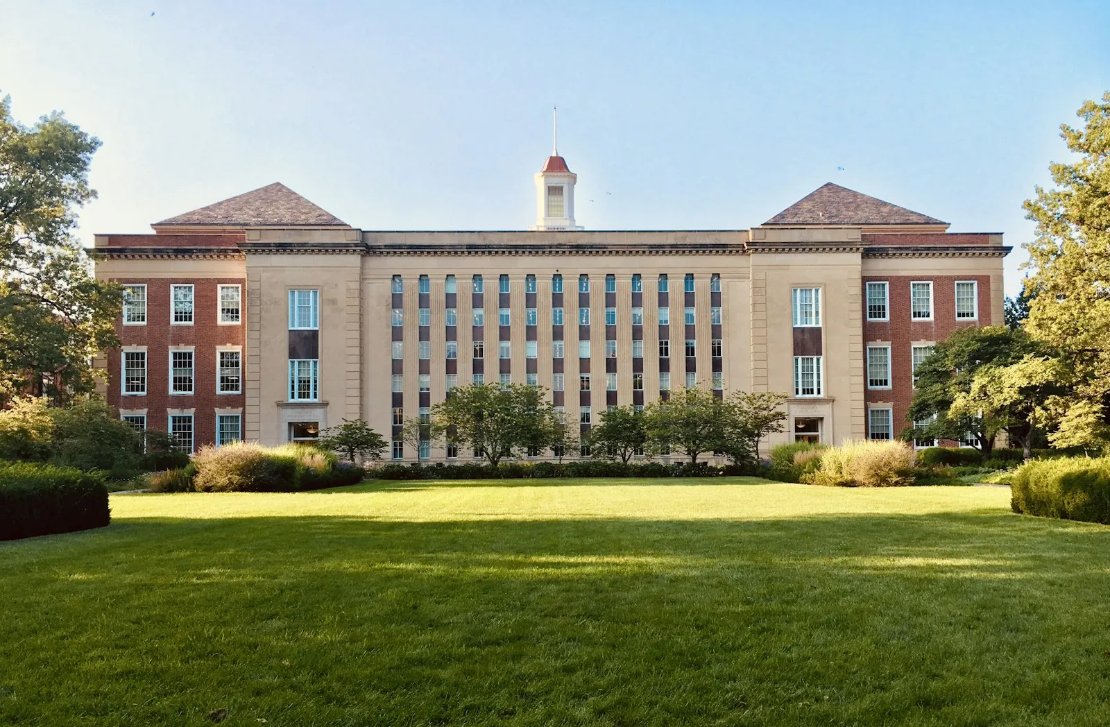 Students gathering on a bright campus